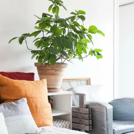 Rue De La Chaussee D'antin By Onefinestay Apartamento Paris